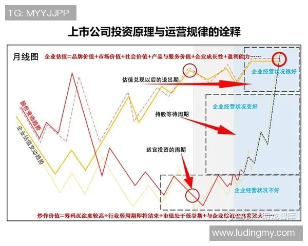 指数与都九龙的对比分析探讨市场趋势与投资策略的启示